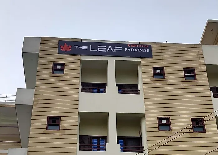 The Leaf Paradise